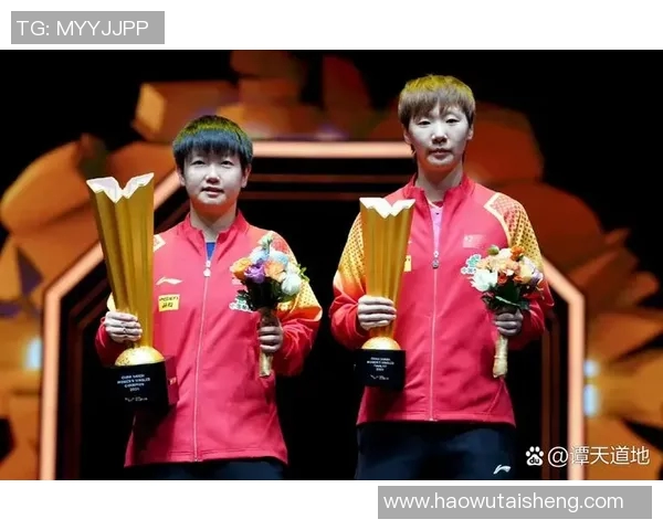 乒乓球争霸：世界冠军的巅峰对决